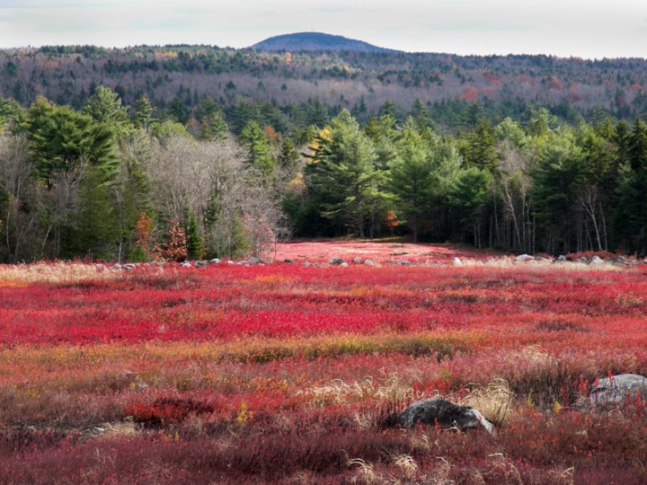10. Blue Hill, Maine