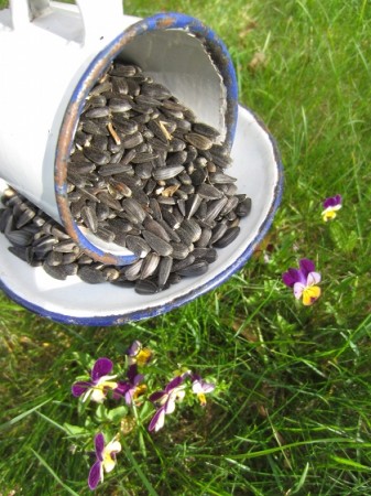 Once you make a bird feeder from a cup and saucer, fill it with birdseed.