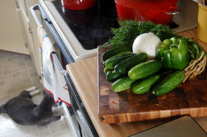 refrigerator pickles