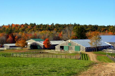 Fall Farm
