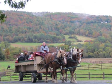 Autumn Wagon Ride At Billings Farm & Museum