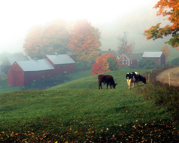 Jenne Farm in Reading, Vermont 