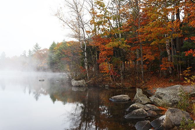 October mist on Tunk Lake, Sullivan, Black Woods Scenic Byway. 