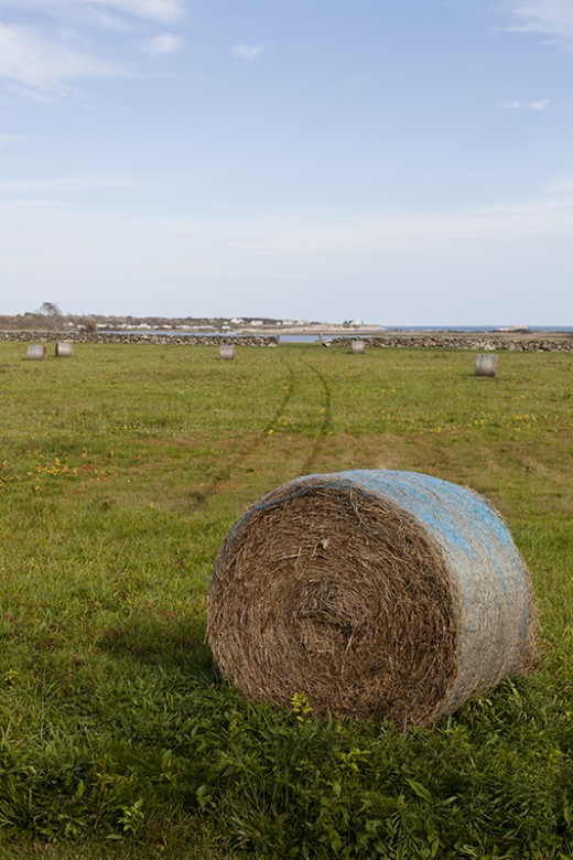 Hay bales oceanside along Warren's Point Road (off Route 77), just south of the center of Little Compton, RI