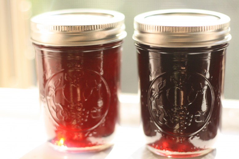 how to make beach plum jam