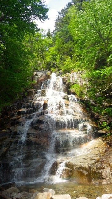 Cloudland Falls, an 80-foot cascade, is 1.4 miles away from the parking lot and offers a great place to relax and cool off after a long day of hiking. 
