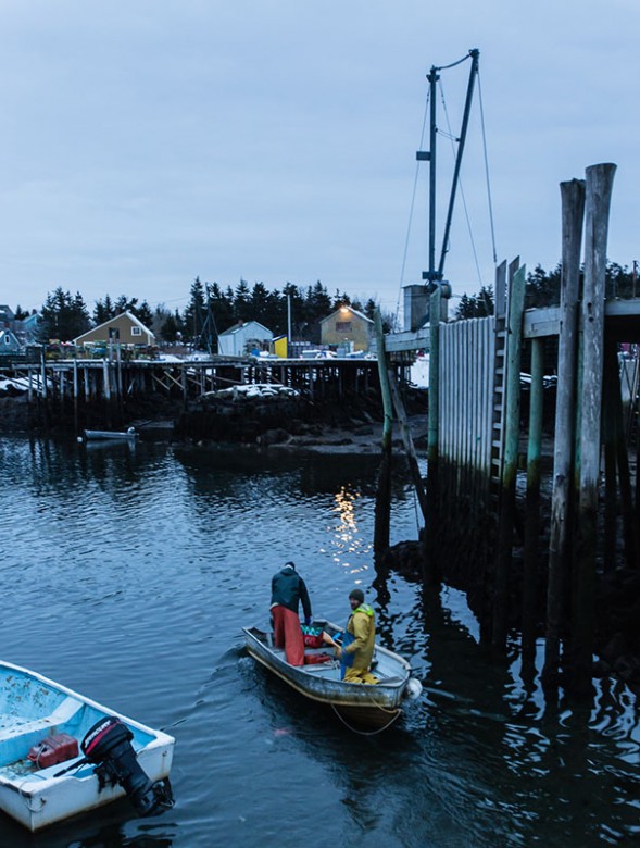 Early morning lobstermen begin their day in Matinicus Harbor.