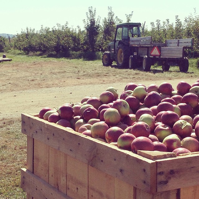 Alyson's Orchard: Walpole, NH Read our picks for the best apple orchards in New England.