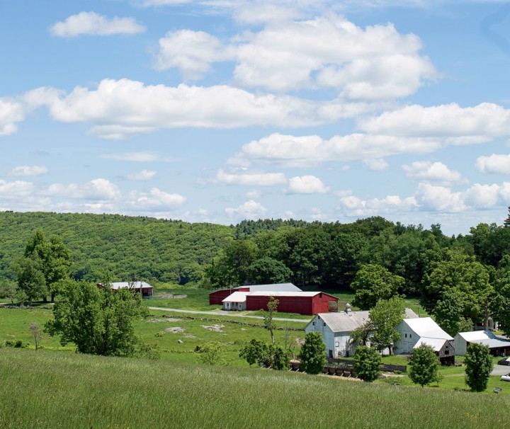 Fields and farmland still surround this rural enclave, 20 miles from bustling Northampton (shown here, Steady Lane Farm)