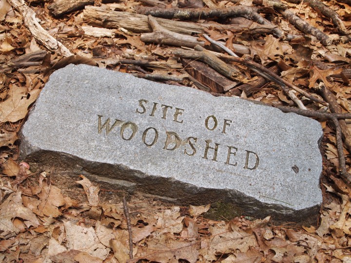 Thoreau's old woodshed is marked by this stone and a pile of sticks.