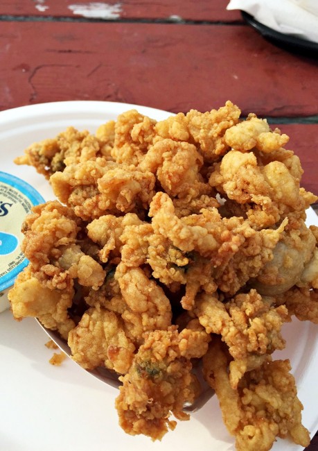 Fried Clam Bellies | The Clam Shack of Falmouth