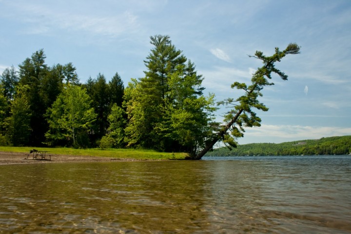 The famous leaning tree at Lake St. Catherine State Park