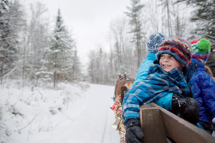 Horse-drawn wagon rides traverse the snow