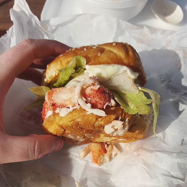 Lobster rolls from Young’s Lobster Pound in Belfast, ME.