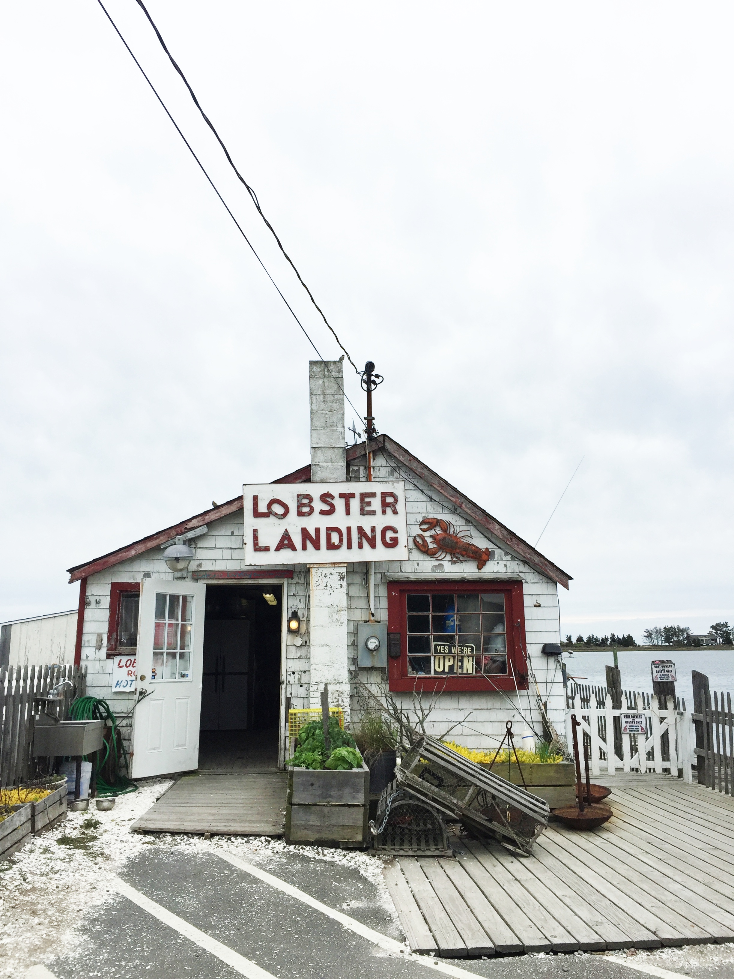 Lobster Landing | The Best Lobster Roll in CT?