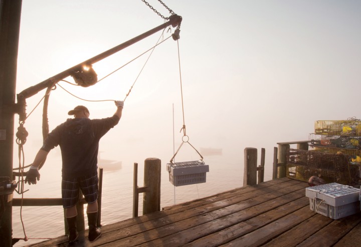 A lobsterman at Five Islands lowers bait into his boat before heading out at daybreak.
