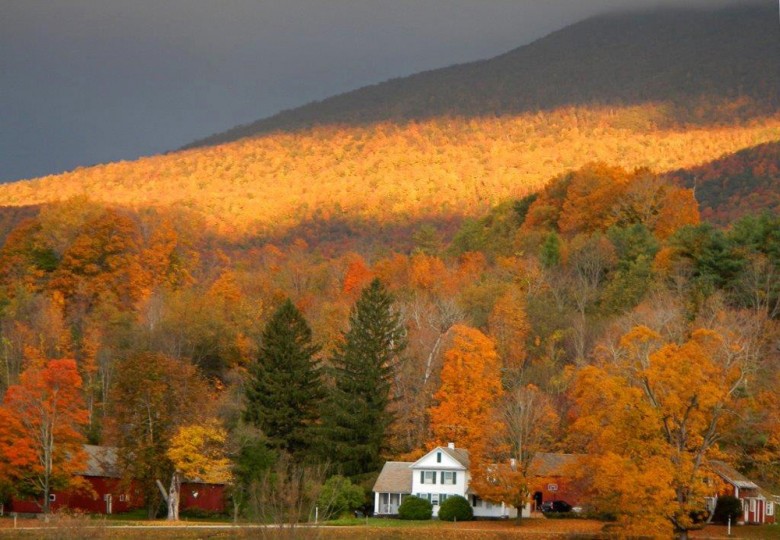 Morning color on Johnson Farm in Manchester, Vermont. 