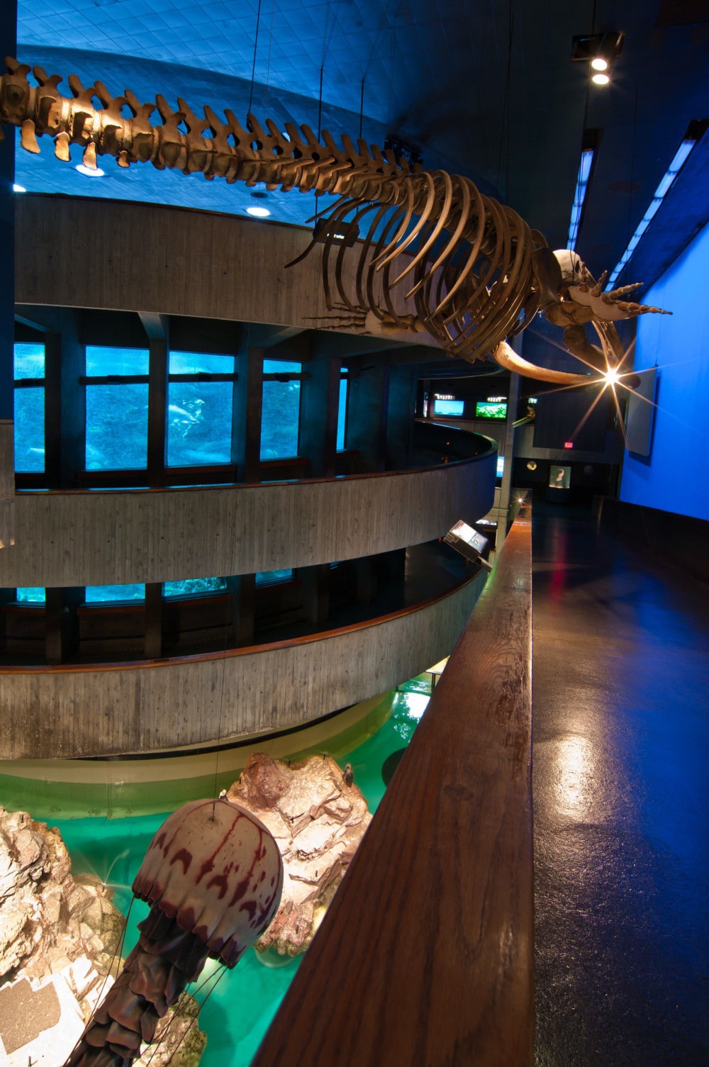Best Boston Museums for Kids
