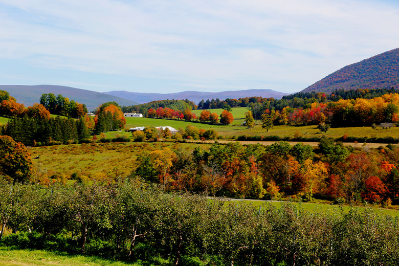 The rolling landscape of Massachusetts’ Berkshires region comes alive with vibrant color each autumn