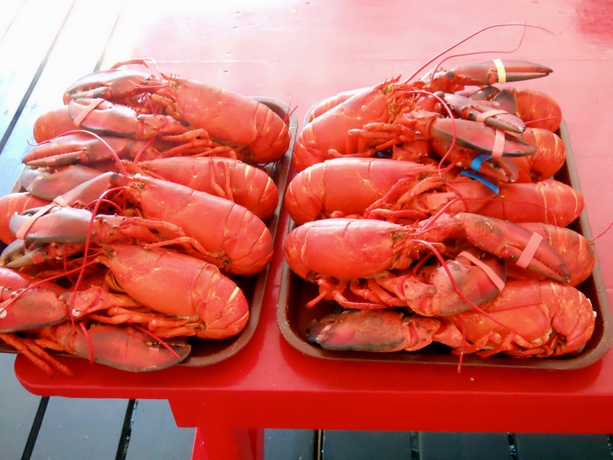 15 Best New England Lobster Shacks