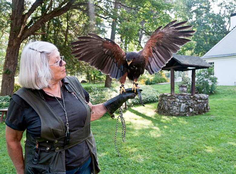 Nancy Cowan of the New Hampshire School of Falconry in Deering.