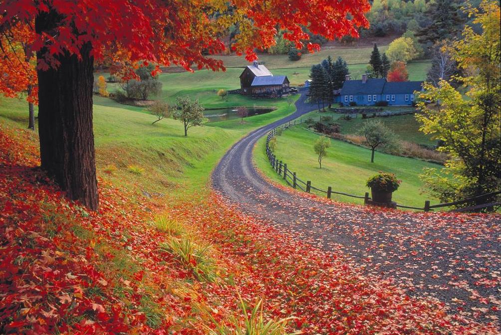 Fall foliage &#8211; Vermont (Large)