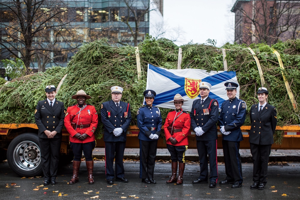 The Nova Scotia tree and its honor guard.