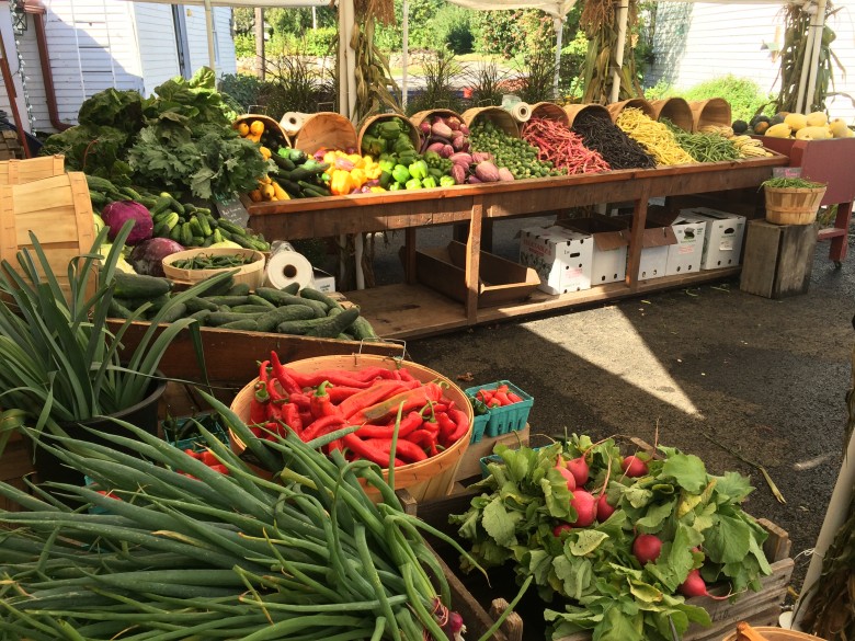 Farm stands and country stores provide authentic New England experiences. 
