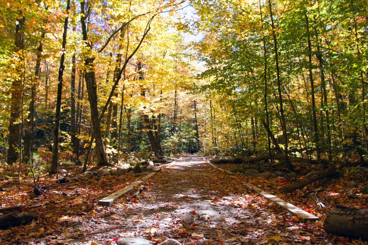 Mount Monadnock Trail | New Hampshire Hiking