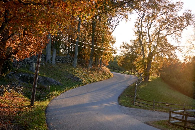 Winding Road in Fall Foliage
