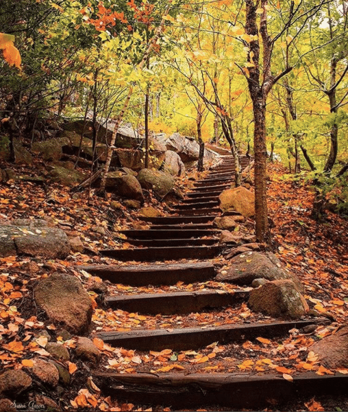 Stairway to fall in Acadia National Park