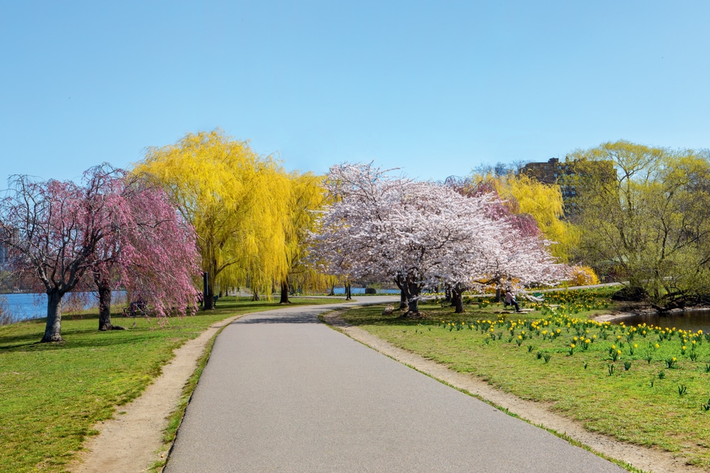 Boston Public Garden in Spring