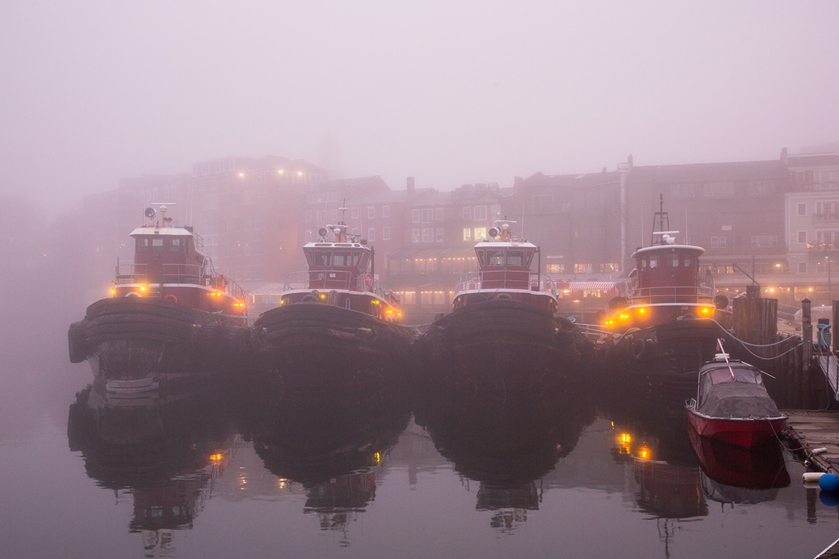 The Lineup in The Fog