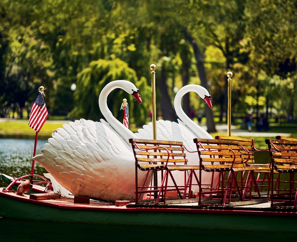 boston-swan-boats-history