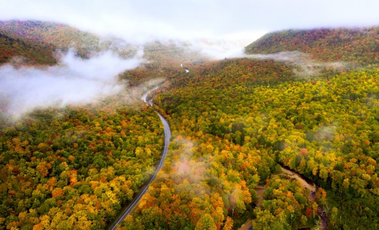 New Hampshire Fall Foliage Guide