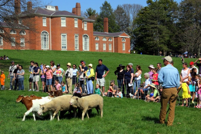 Sheepshearing Festival at Gore Place