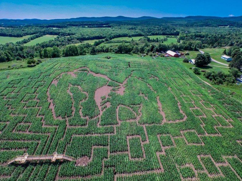 The Great Vermont Corn Maze