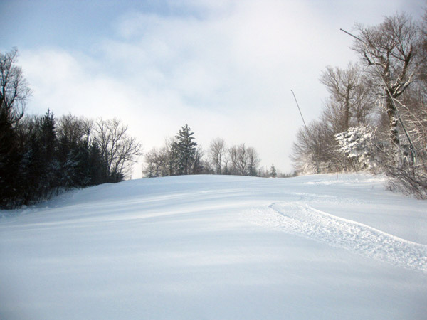 First Tracks in Snow