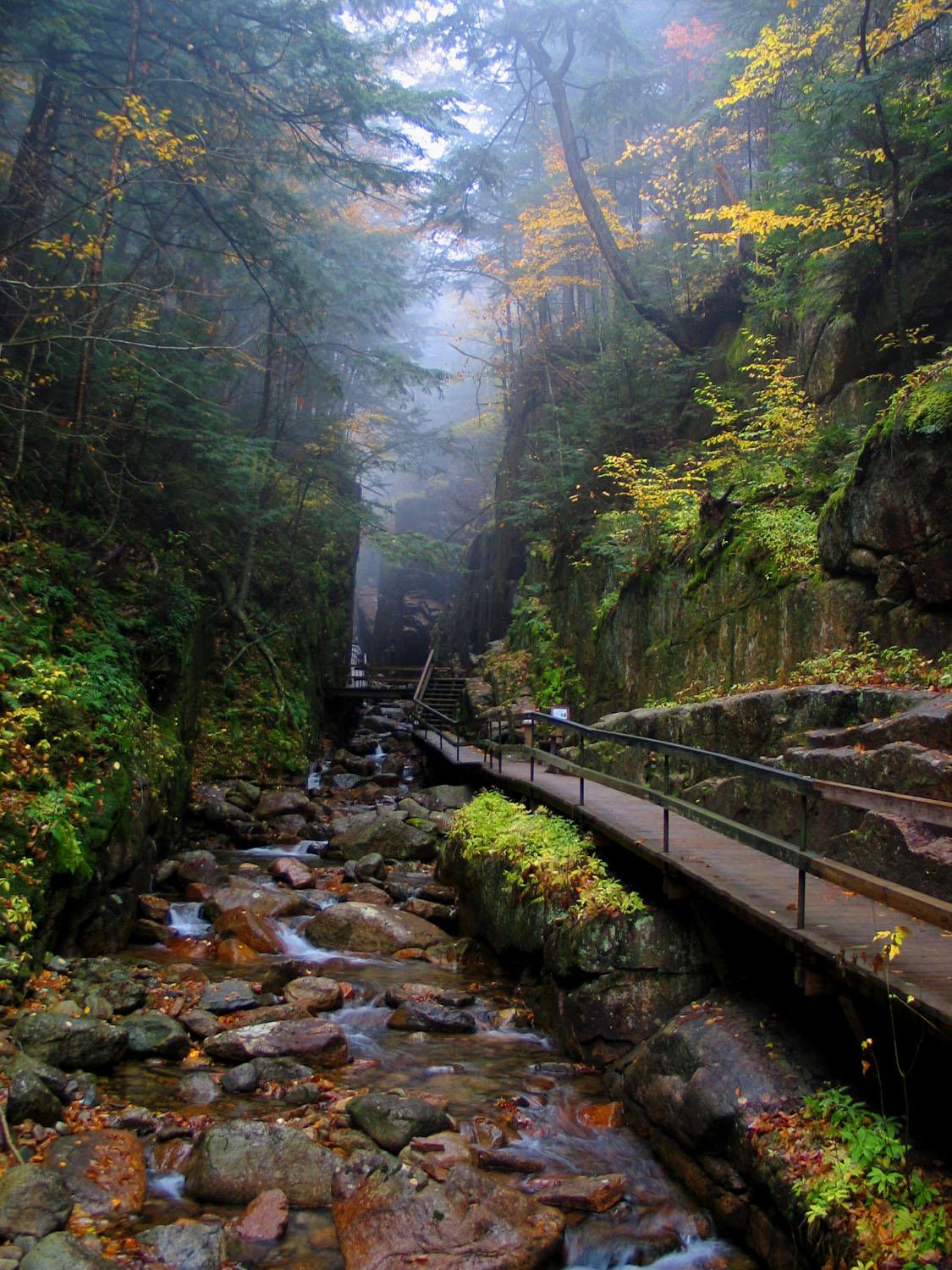 Flume Gorge in Fall (user submitted)