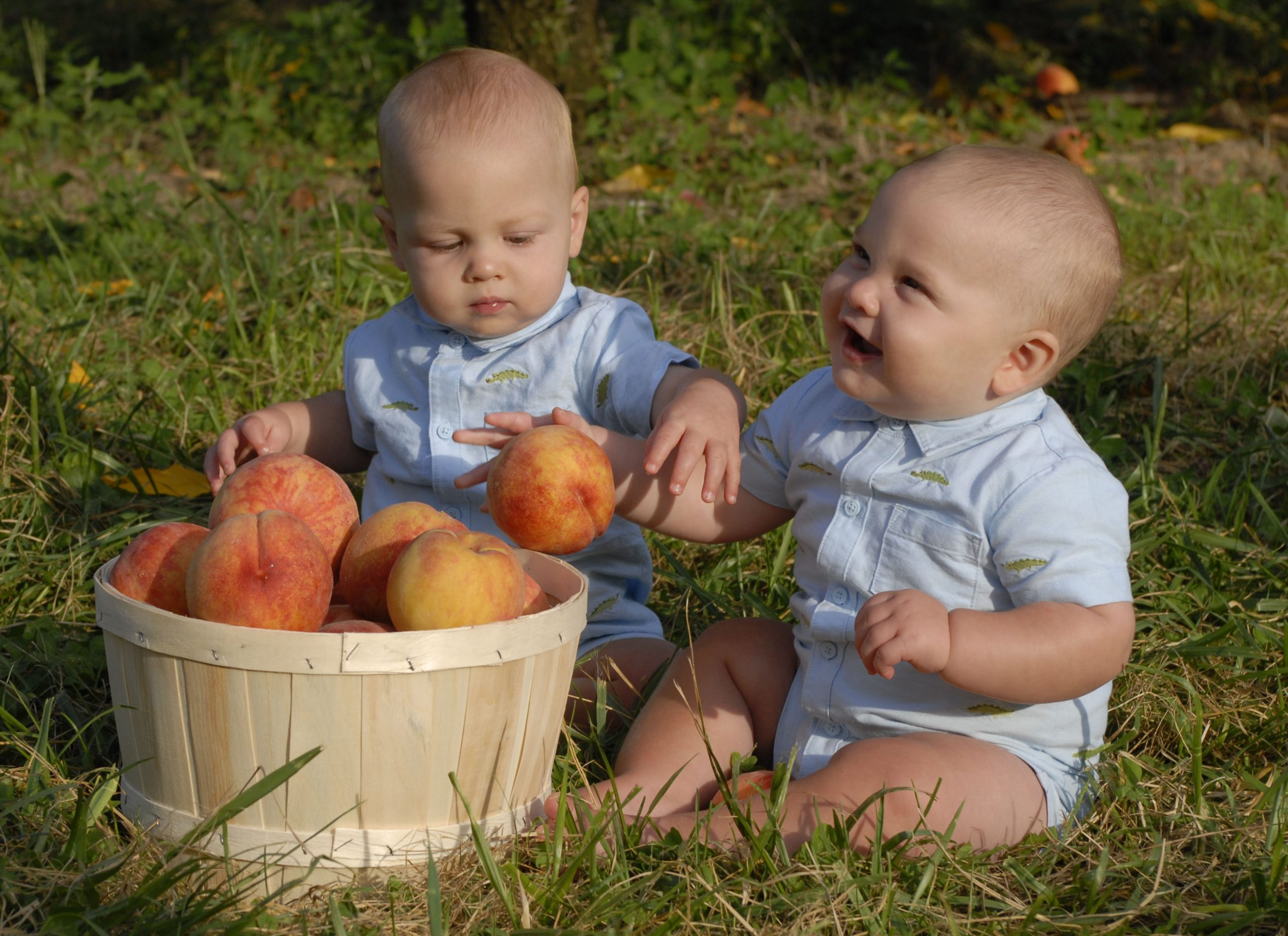 Peach Fest At Lyman Orchards (user submitted)