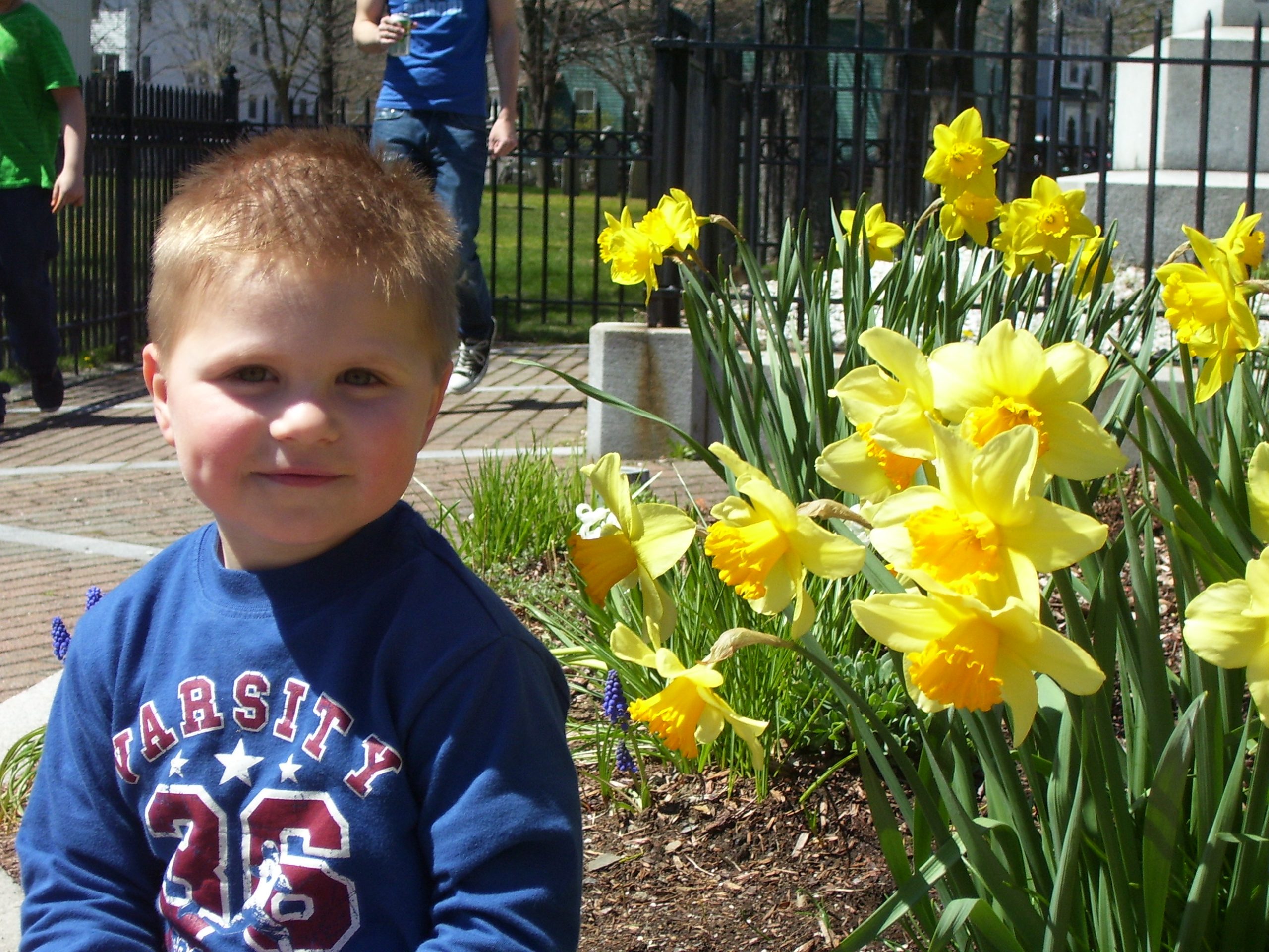 Dimples And Daffodils (user submitted)