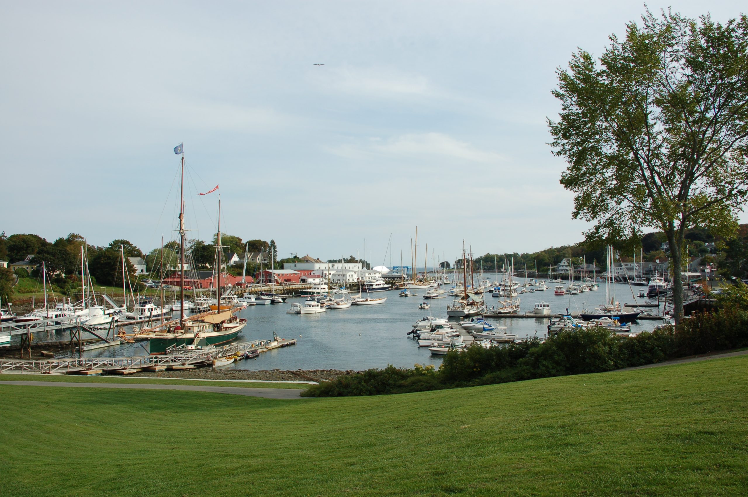 Camden Harbor (user submitted)