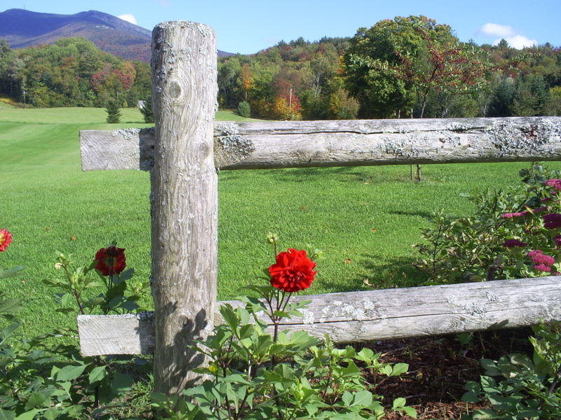 Fall Fence (user submitted)