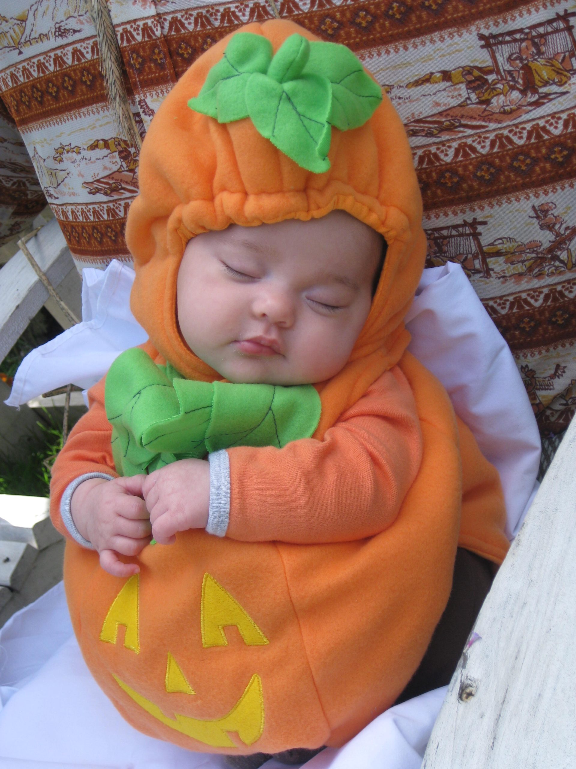 Cutest Pumpkin In The Patch (user submitted)