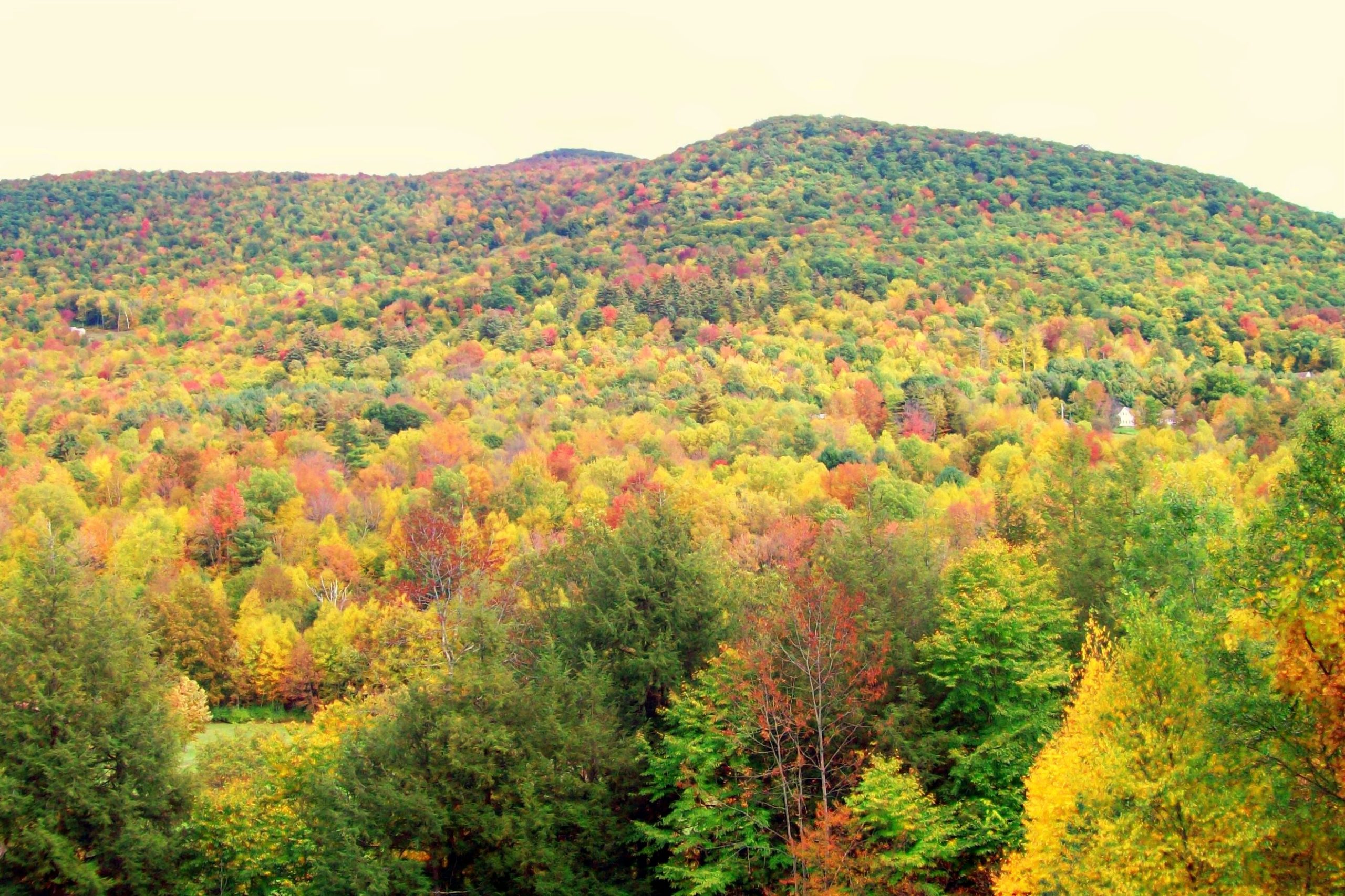 Vermont View (user submitted)