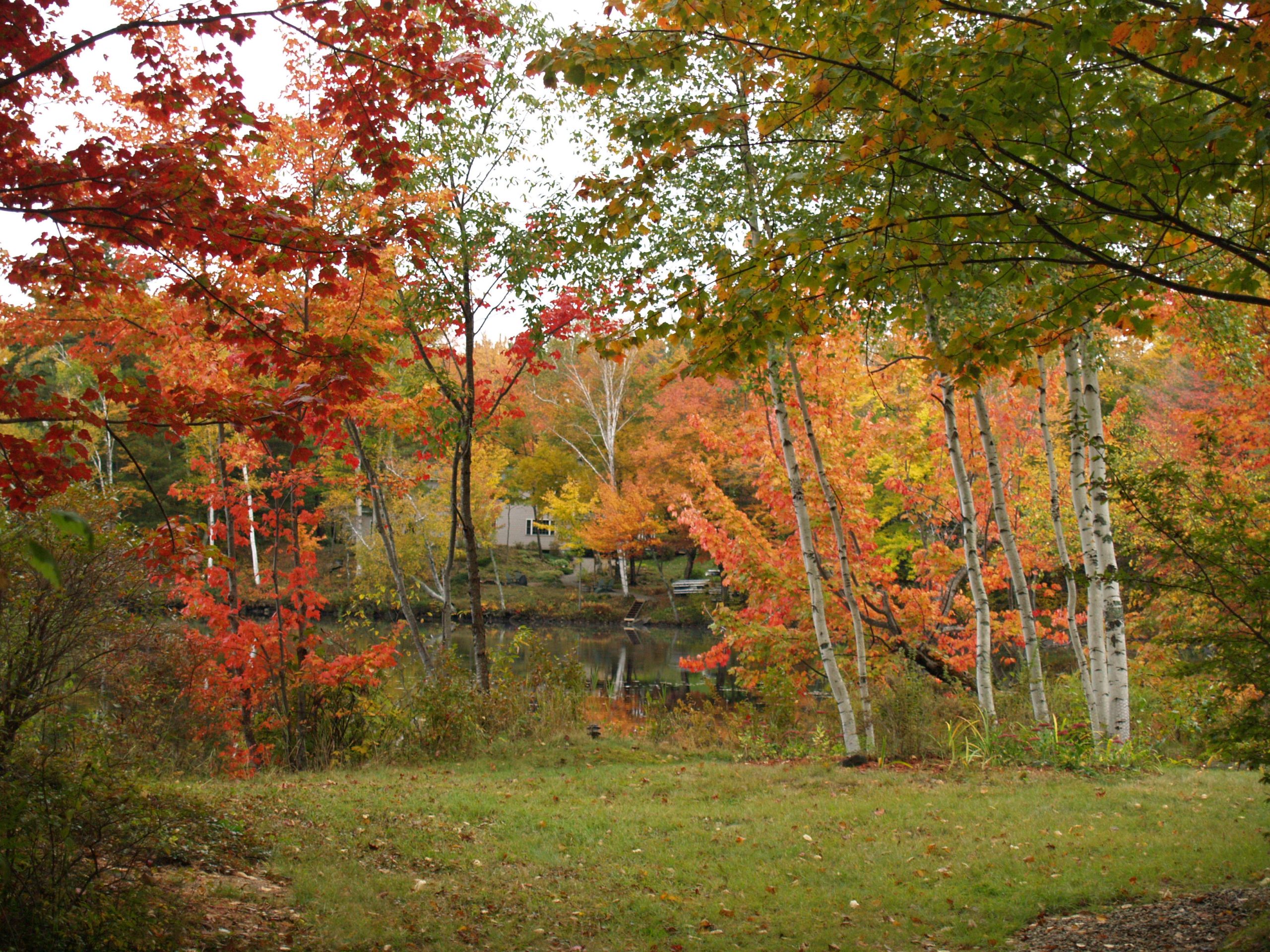 Wilton Maine Foliage 2009 (user submitted)
