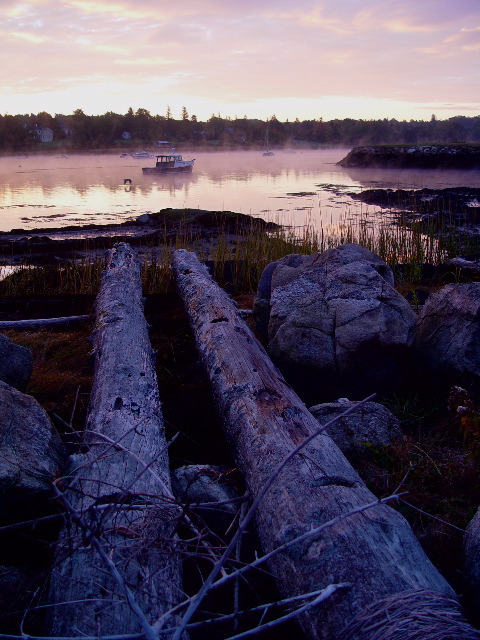 Damariscotta Harbor, early morning (user submitted)