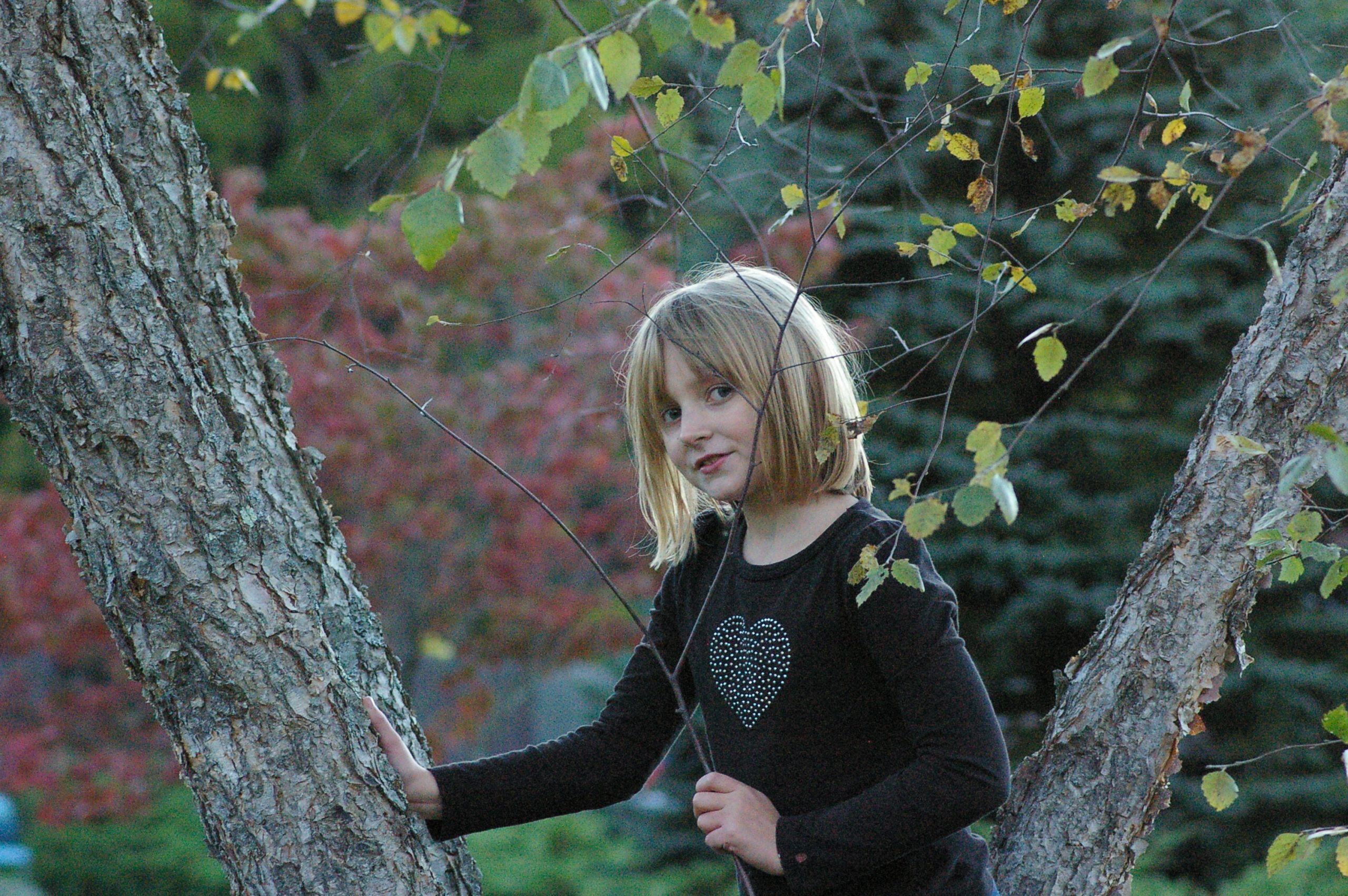 Kid In Tree (user submitted)