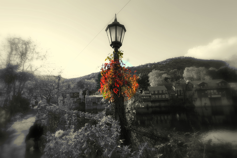 Fall (user submitted)
