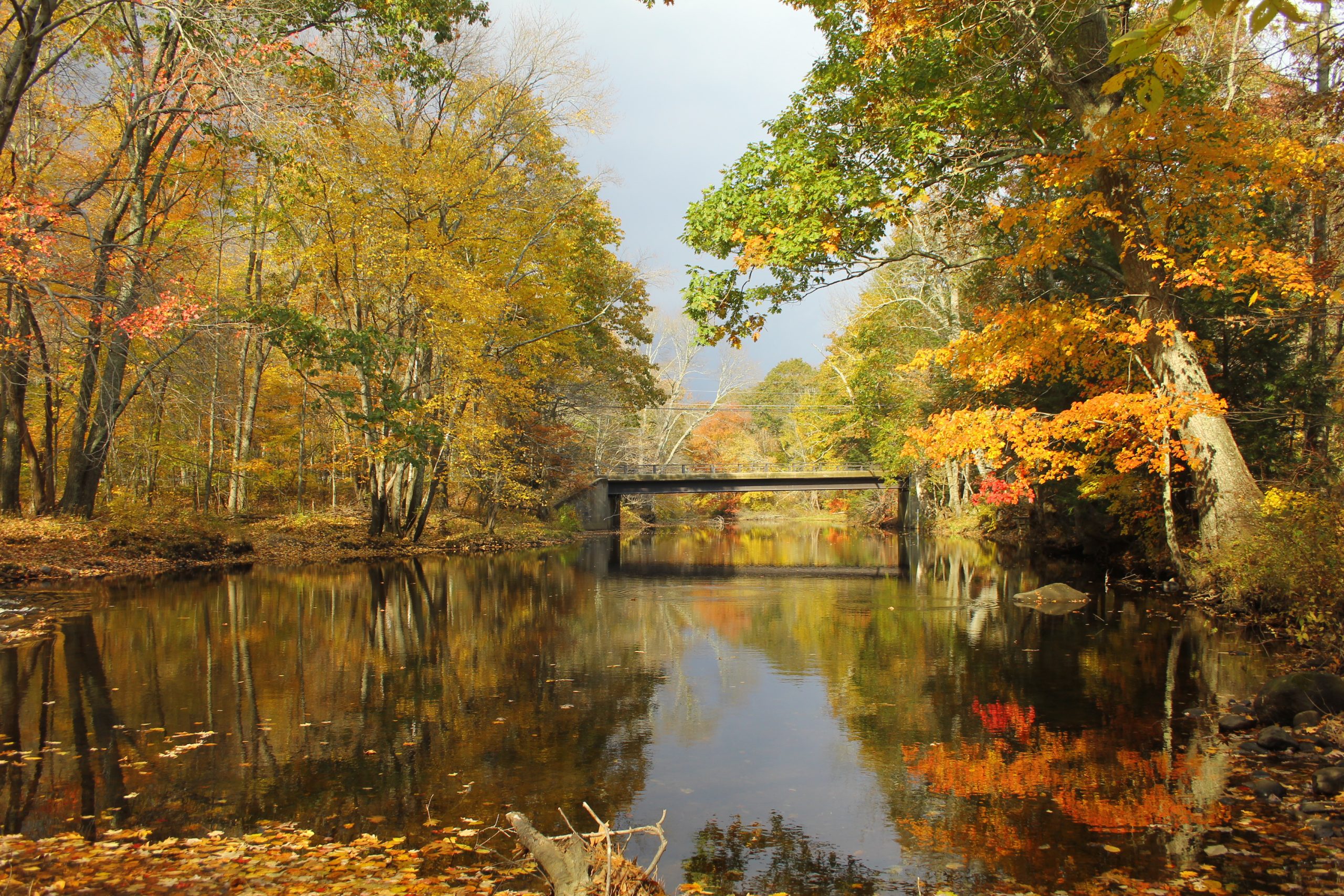 The Willimantic River In Storrs, Ct (user submitted)